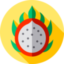 food,vegan,healthy food,food and restaurant,organic,diet,vegetarian,fruit,dragon fruit,pitaya ok 